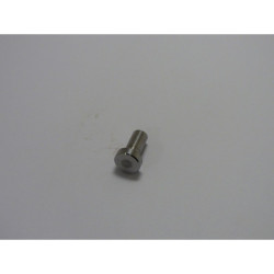 Rivet Référence F1073261