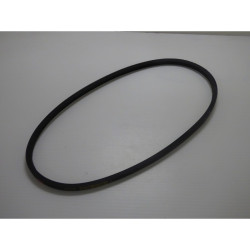 66030037R  |  Courroie