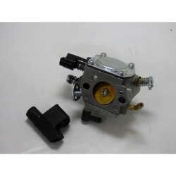 Carburateur Référence 50010302A
