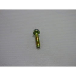 Vis Bielle Référence L66150078