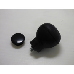 Pommeau Référence 68130600