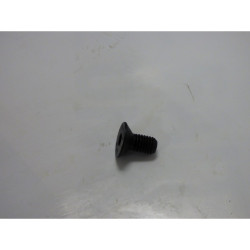 028000055R  | Lot de 10 Vis...