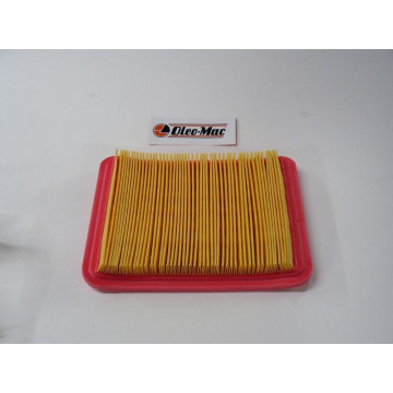Filtre à Air Moteur Emak...