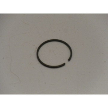 SEGMENT ROBIN EC 02