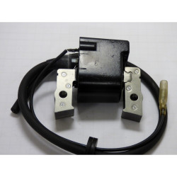 Bobine Allumage Robin...