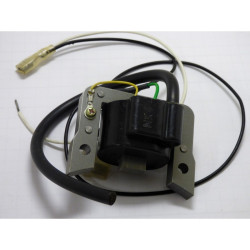 Bobine Allumage Robin...