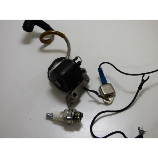 BOBINE ALLUMAGE + MODULE STHIL 031 AV (3)