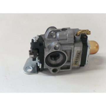 CARBURATEUR  BESTGREEN BG...