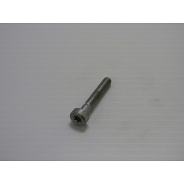 Vis Cylindrique Is M5 x 30...