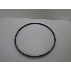 Courroie Wolf Référence 23635