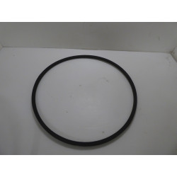 Courroie Wolf Référence 19750