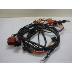 FAISCEAU ELECTRIQUE WOLF