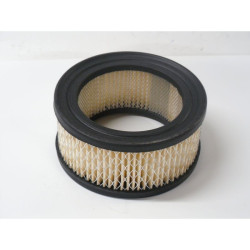 FILTRE A AIR B&S 392286