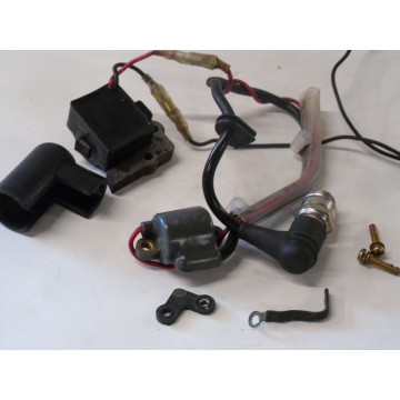 ALLUMAGE ECHO SRM-302 BDX (2)