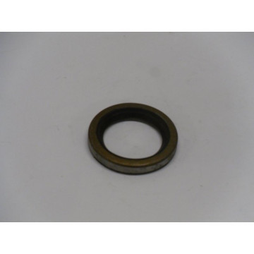 JOINT SPI BRIGGS 398423