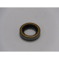 JOINT SPI Briggs & Stratton