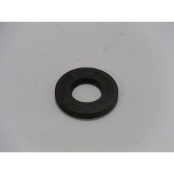 JOINT SPI Briggs & Stratton