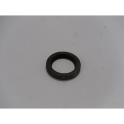 JOINT SPI Briggs & Stratton