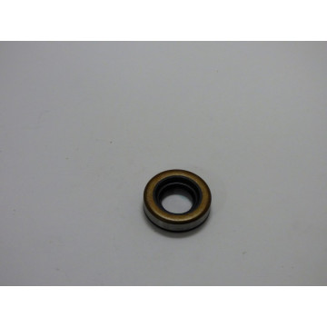 JOINT SPI BRIGGS & STRATTON