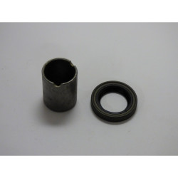 JOINT SPI BRIGGS & STRATTON