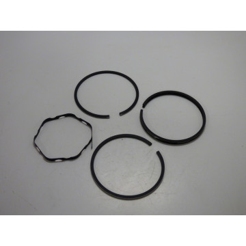 SEGMENTS BRIGGS & STRATTON