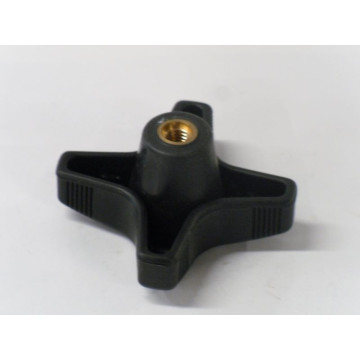 PAPILLON DE GUIDON