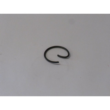 CLIPS