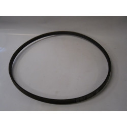 Courroie autoportée WOLF...