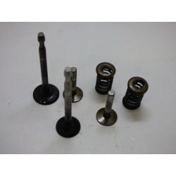 SOUPAPES TECUMSEH FORMULA...