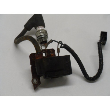 BOBINE ALLUMAGE NAUTAC 027...
