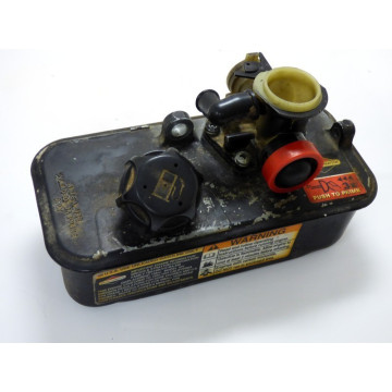 CARBURATEUR COMPLET BRIGGS...