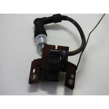 BOBINE ALLUMAGE MOTEUR B&S...