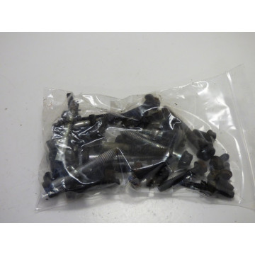 VISSERIE MOTEUR B&S (VIKING...
