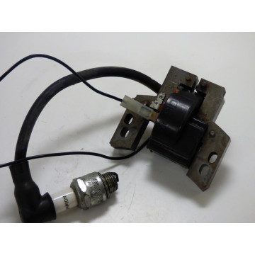 BOBINE ALLUMAGE B&S QUANTUM...