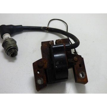 BOBINE ALLUMAGE B&S QUANTUM...