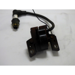 BOBINE ALLUMAGE BRIGGS &...