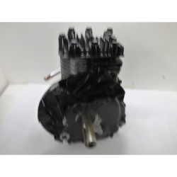 SHORT-BLOC COMPLET BRIGGS &...