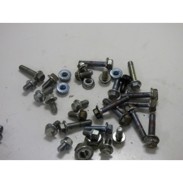 VISSERIE MOTEUR B&S SERIES...