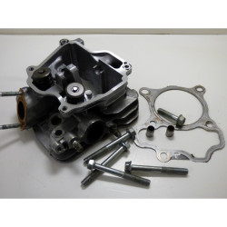 CULASSE + SOUPAPES ROBIN EP...