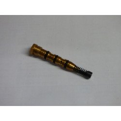 Pompe à Huile Echo...