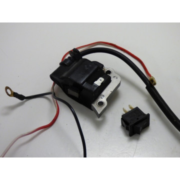 BOBINE ALLUMAGE BESTGREEN...