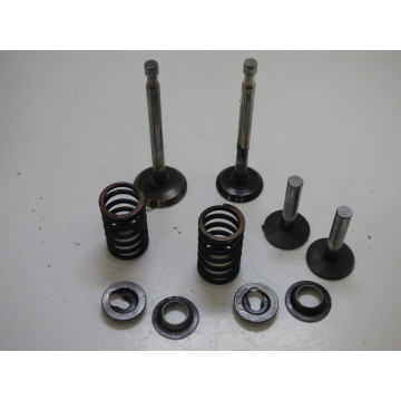SOUPAPES LOMBARDINI IM 250 (2)
