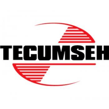 TECUMSEH