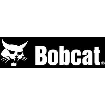 BOBCAT