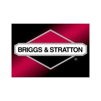 Briggs & Stratton