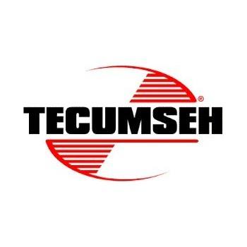 Tecumseh