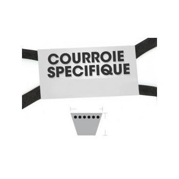 Courroies spécifiques 