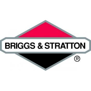 BRIGGS & STRATTON