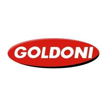 GOLDONI