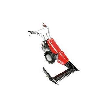 FC 20 L (Fino/Until 2009)